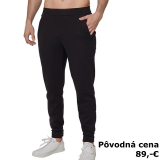 PÁNSKE TEPLÁKOVÉ NOHAVICE TRUE CITY FLY JANT 