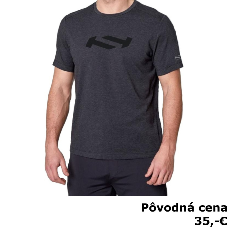PÁNSKE TRIČKO TRUE T-SHIRT AYWEAR GREY 